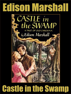 cover image of Castle in the Swamp